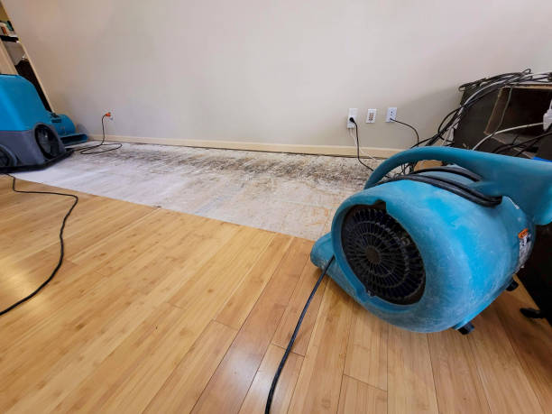 Professional Structural Drying technician working in Covington, VA